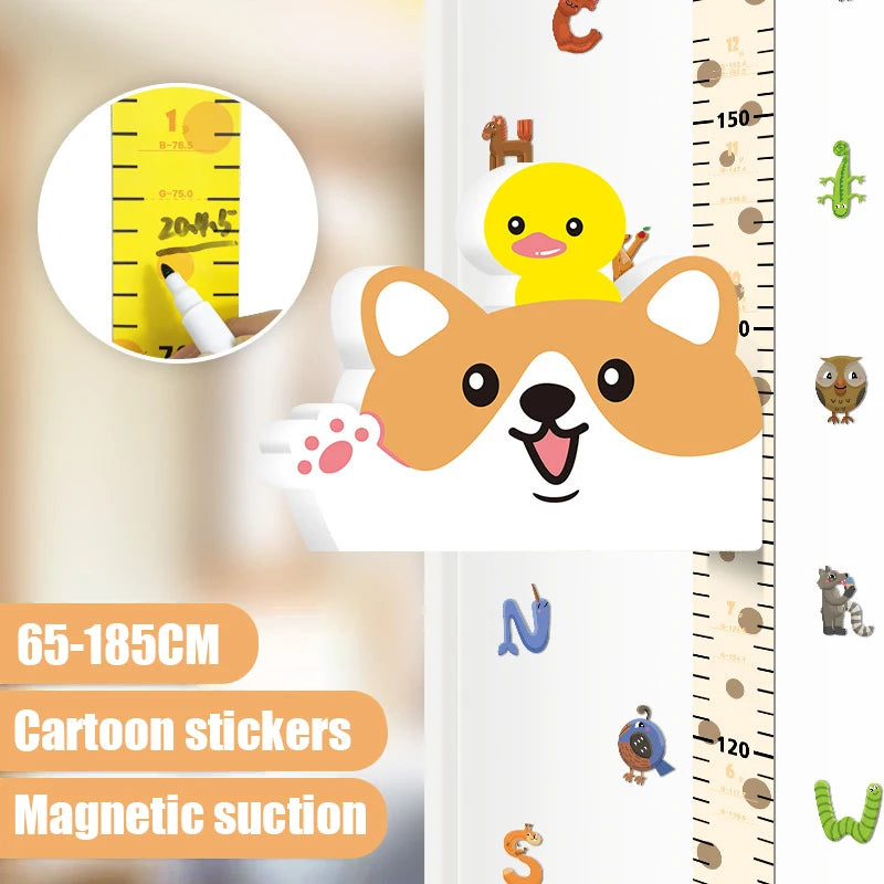 3D Cartoon Height Wall Chart